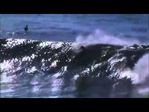 Billabong's Silvana Lima Perfect 10 scoring wave