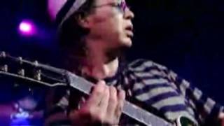 Video thumbnail of "Creedence Clearwater Revisited - I Heard It Through the Grapevine"