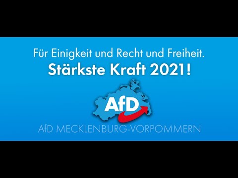 AfD wirkt für die Menschen: Der etwas andere Jahresrückblick 2020 ;-)