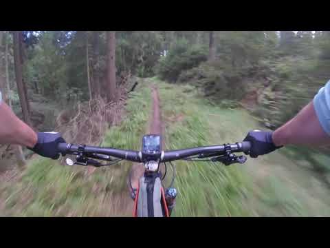 Stoneman Arduenna 2020