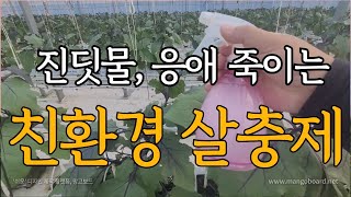 식재료를 활용한 간단 친환경 살충제 만들기!!!