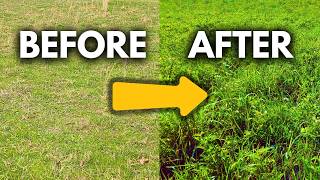 How I Made $500 Worth of Fertilizer—For Free!