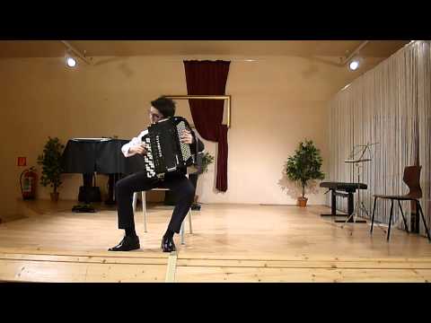 VAMÖ-Akkordeonwettbewerb 2015 _ Stefan DJORDJEVIC