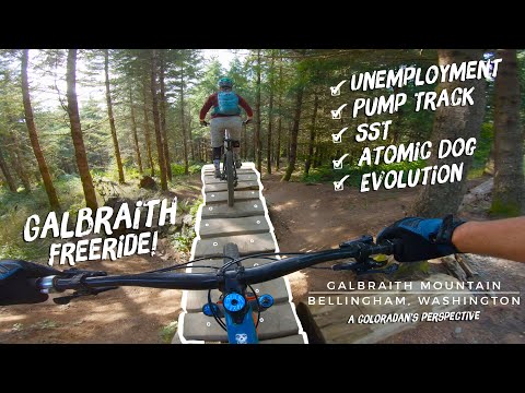 Is Galbraith Home to the Best FreeRide MTB Trails? | Galbraith Mountain - Bellingham, Washington