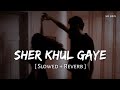 Sher Khul Gaye Slowed Reverb Benny Dayal Shilpa Rao Fighter SR Lofi