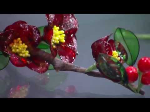 Mulher.com - 17/05/2016 - Vitriarte - Junko PT2