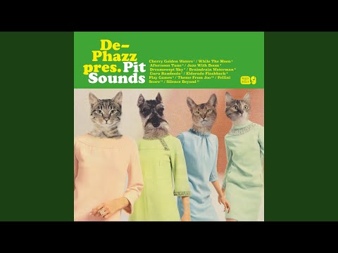 De-Phazz - Pit Sounds (2024) Audio CD (імпорт, буклет) - фото 3 - id-p2248394664