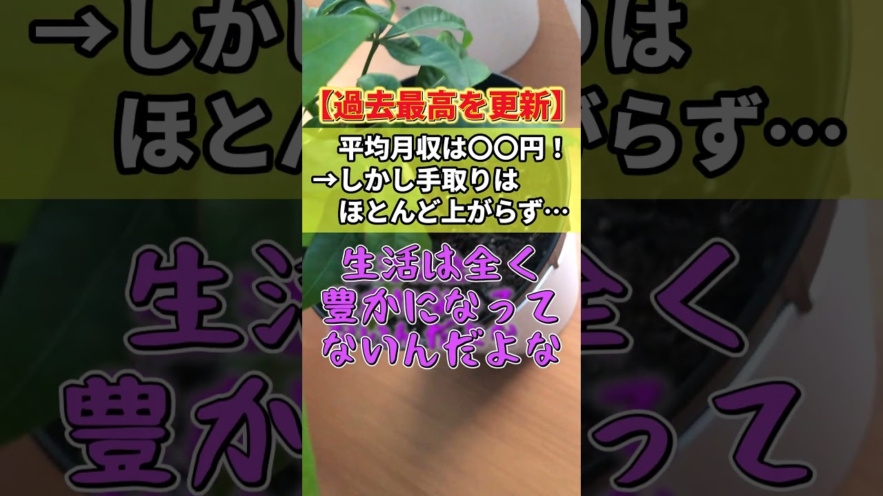 【過去最高】平均月給34万円超え→手取りはほとんど上がらないまま・・・　#shorts