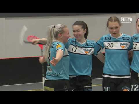 SB-PRO maalikooste: PLAYOFFS SB-PRO - Pelicans (27.3.2019)