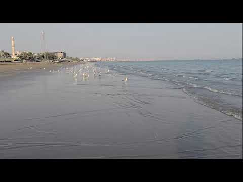 Real Moments at Bandar Abbas Beach