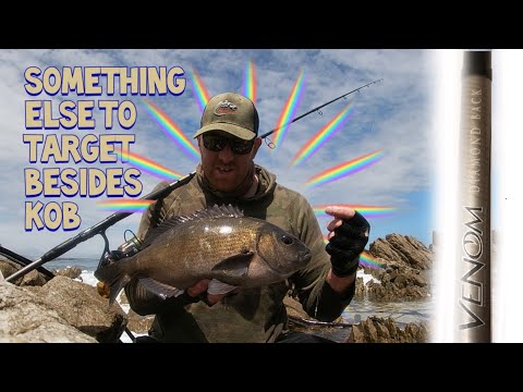 HOW to catch BIG Cape Bream, Hottentot from the side I Tackle & Tips