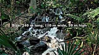 Rainforest Biome, Eden Project