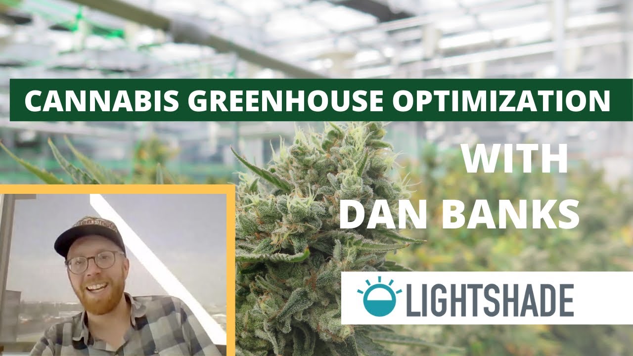 Part 2 Interview with Dan Banks - Cannabis Greenhouse Optimization