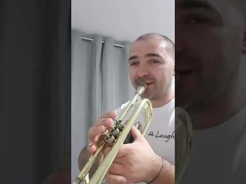 Tutorial Haida roată măi măi flăcăi. Sofia Vicoveanca.