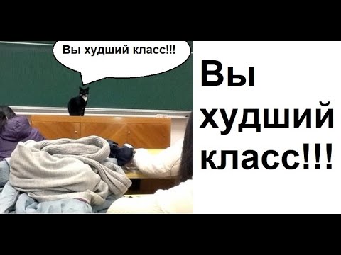 Лютые приколы. Вы самый худший класс, за все мои годы!!!