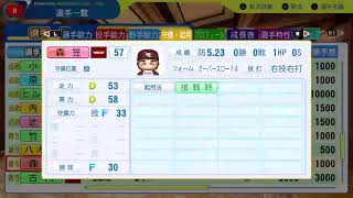2041セ・リーグ