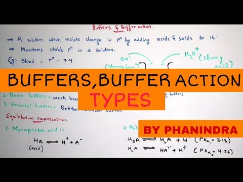 N2 bases NITROGENOUS BASES PURINS AND PYRIMINDINS BIOTECHNOLOGY BY PHANINDRA GUPTHA