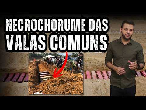 Vídeo