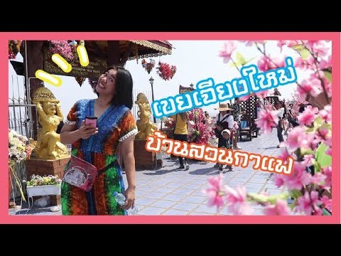 ชิมขนมบนดอย เชียงใหม่ VLOG MONGO