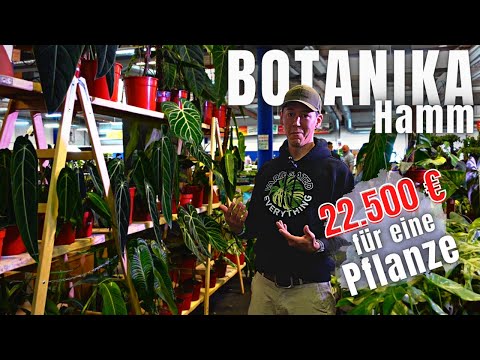 Plant rarities - better than in the garden center with priceless indoor plants at the Botanica Hamm