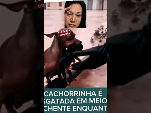 cumpre a Profecia de Cristina Maranhão tragédia em Minas Gerais 72 mortos