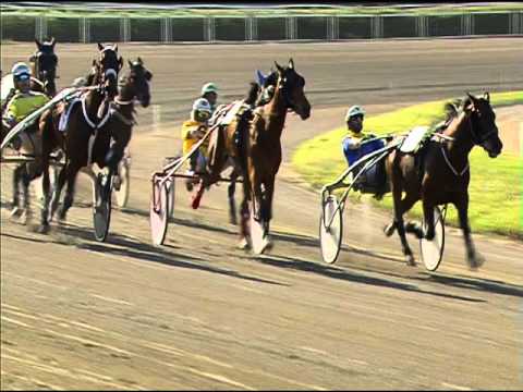 Trotto 30/04/2016 - 7° Corsa