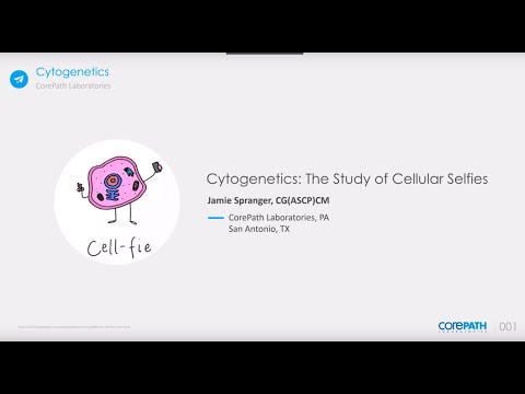 Cytogenetics  The Study of Cellular Selfies