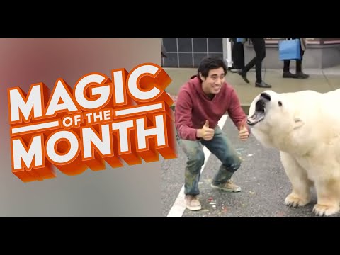 New Years Resolution Tricks | MAGIC OF THE MONTH - January 2020