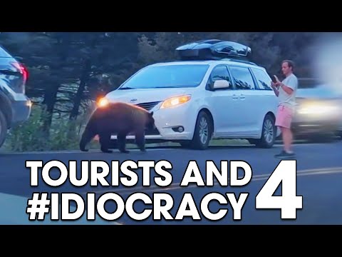 Tourists and #IDIOCRACY 4