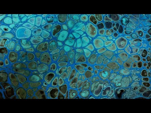 Acrylic Pour Basic Swipe Technique