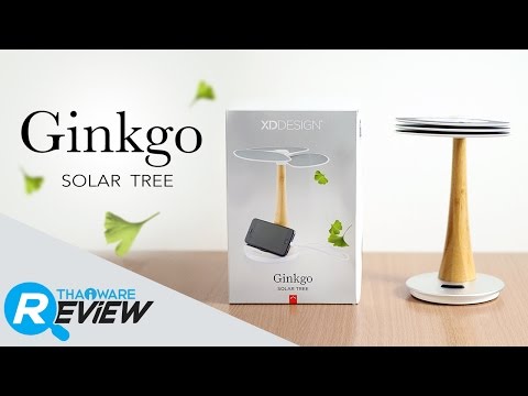 รีวิว Ginkgo Solar Tree ชาร์จมือถือด้วยพลังธรรมชาติ จาก XD Design