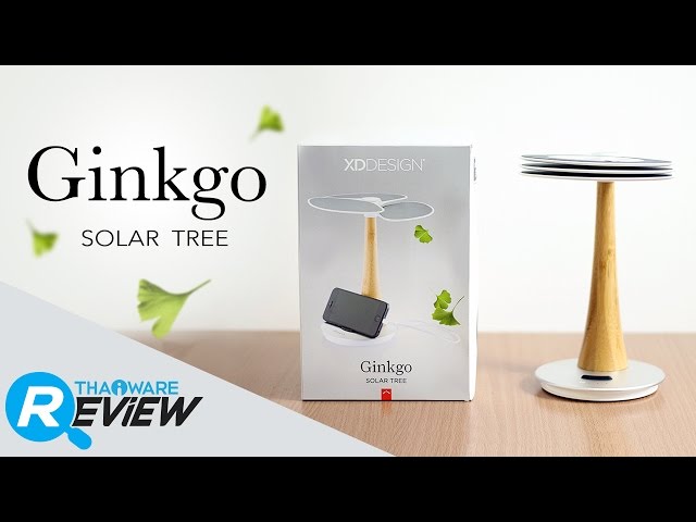   รีวิว Ginkgo Solar Tree ชาร์จมือถือด้วยพลังธรรมชาติ จาก XD Design