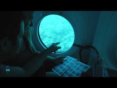 Blue Safari - Submarine Experience - Mauritius