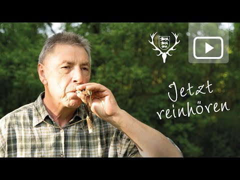 Successful decoy hunting - tips from decoy hunting expert Klaus Demmel