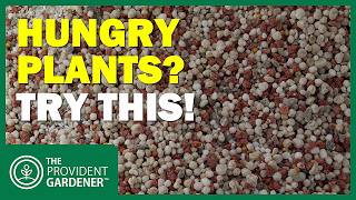 Stop Starving Your Plants! This Simple Weekly Feeding Formula Changes Everything