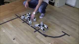 preview picture of video 'Team Ro-Bob, Modular Robot'
