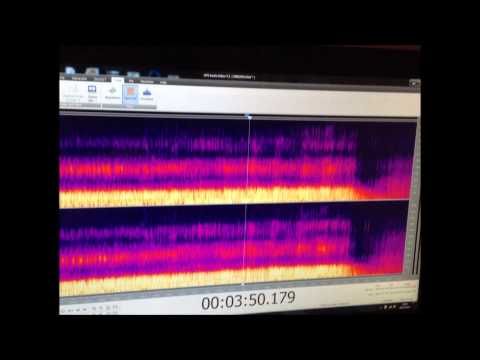 SPECTRAL ANALYSIS OF A NEW SINGING TECHNIQUE!