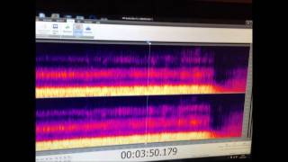 SPECTRAL ANALYSIS OF A NEW SINGING TECHNIQUE!