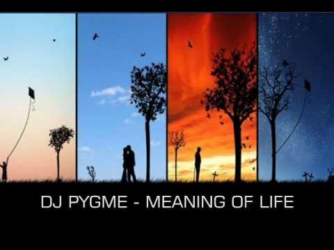DJ Pygme - Meaning Of Life [TRANCE] [2010]
