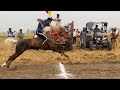 Babarpur Ludhiana Horse Racing 16th Nov 24