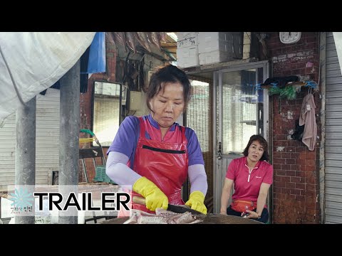 갈매기(Gull) 30초예고편