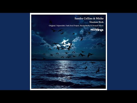 Nineteen Birds (Original Dub Edition)