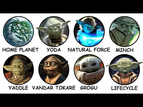 Everything We Know About Yoda's Species Explained in 19 Minutes