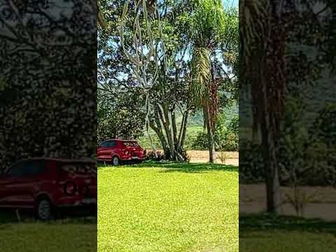 só aproveitar as férias turvo PR