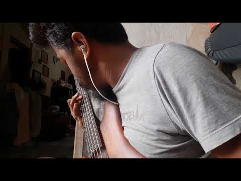 Solo Transcription On Evan Marien Havona 2018