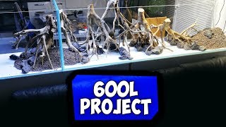 MEIN NEUES RIESEN AQUARIUM | KAUF, TRANSPORT & HARDSCAPE | Aqua Update