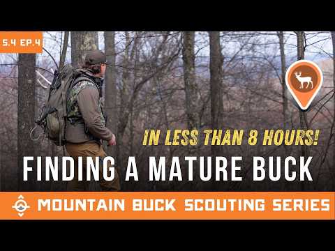 Find a Mature Buck in Less Than 8 HOURS! | Mountain Buck Scouting Series