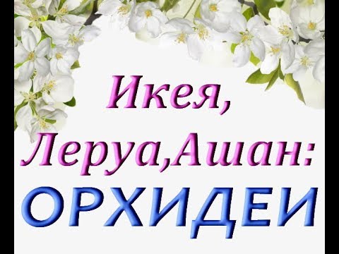 ОРХИДЕИ в Икее,Ашане и Леруа (ТЦ "МЕГА",Самара,12.05.2019)