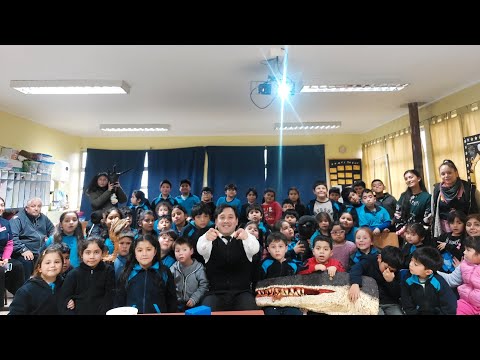 4ta y 5ta charla de Paleontología, Escuela rural Los Boldos, Santa Bárbara, Bio-bio, Chile.