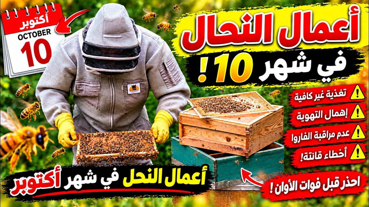أعمال النحال في شهر أكتوبر/ شهر 10